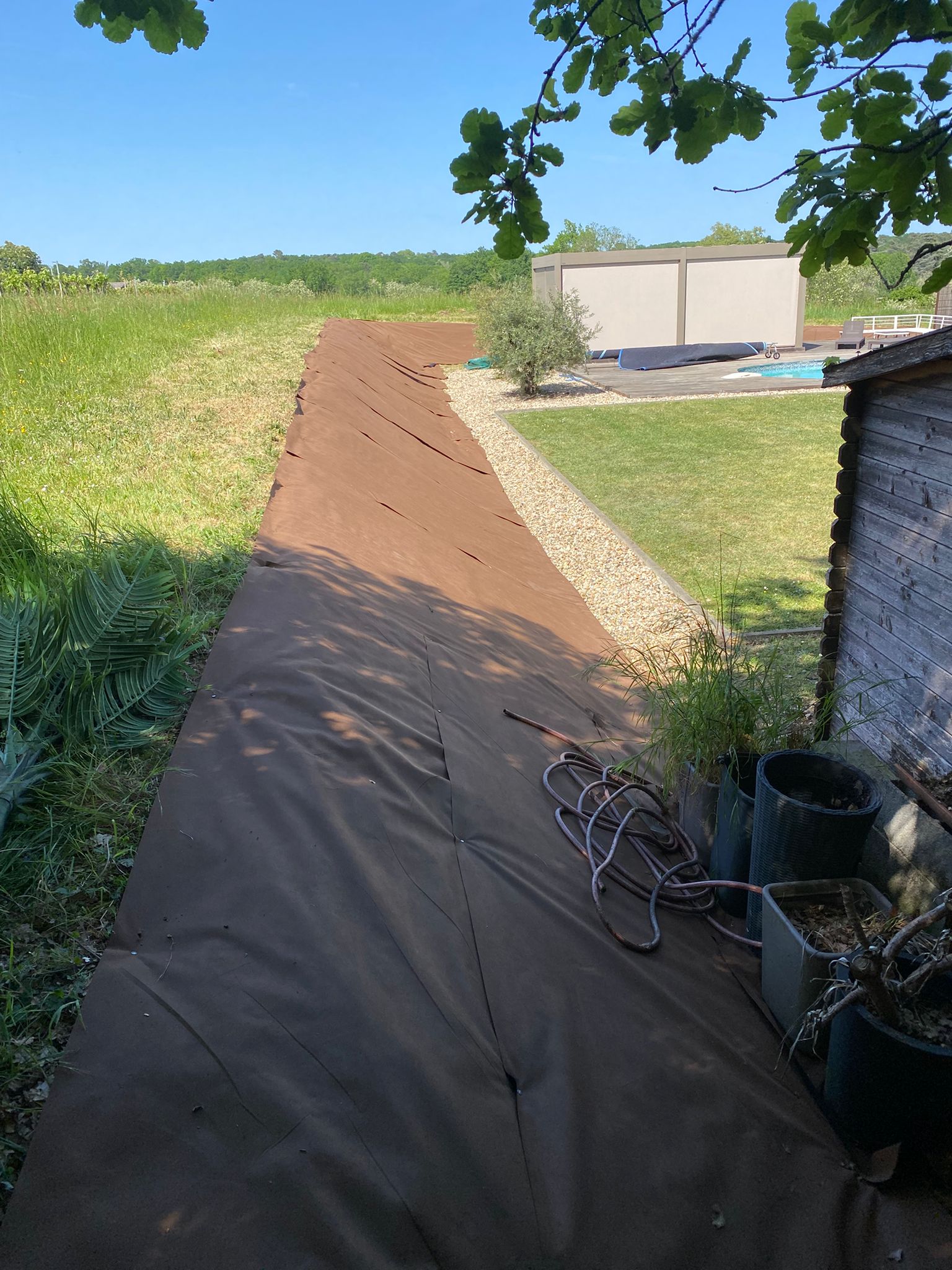 Avant - zone envahie